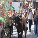 tradicao-centenaria-bencao-dos-carros-de-boi-sera-realizada-em-cacapava-no-dia-21-de-junho