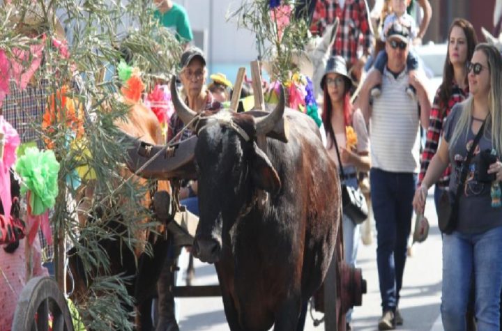 tradicao-centenaria-bencao-dos-carros-de-boi-sera-realizada-em-cacapava-no-dia-21-de-junho