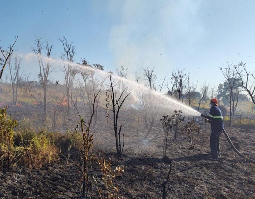 defesa-civil-combate-incendio-de-8-mil-m²-em-area-de-vegetacao-no-barreiro-em-taubate