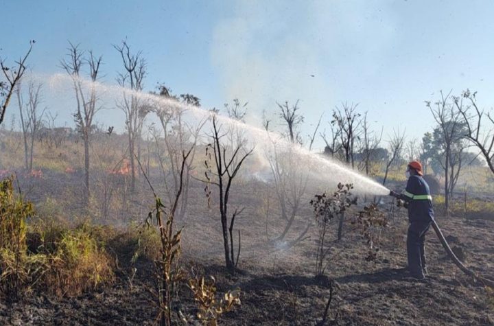defesa-civil-combate-incendio-de-8-mil-m²-em-area-de-vegetacao-no-barreiro-em-taubate