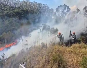 incendio-atinge-area-de-mata-em-sao-luiz-do-paraitinga-e-consome-180-mil-m²