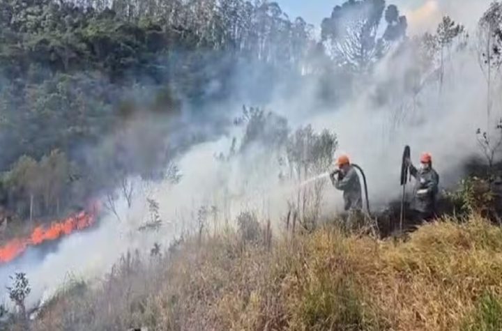incendio-atinge-area-de-mata-em-sao-luiz-do-paraitinga-e-consome-180-mil-m²