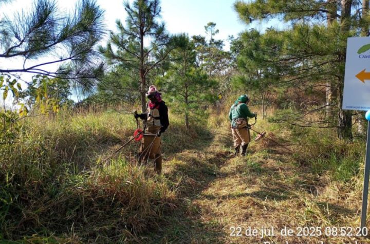 pindamonhangaba-revitaliza-trechos-historicos-do-caminho-da-fe-e-fortalece-turismo-religioso