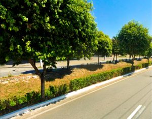 prefeitura-de-cacapava-inicia-obras-de-macrodrenagem-na-avenida-brasil-nesta-segunda-feira