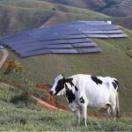 sao-jose-dos-campos-economiza-mais-de-r-6-milhoes-com-uso-de-energia-limpa-em-predios-publicos