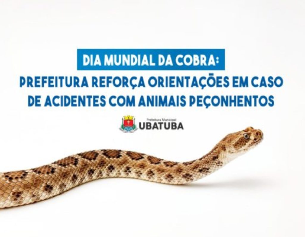 ubatuba-alerta-para-cuidados-com-animais-peconhentos-e-reforca-atendimento-na-santa-casa