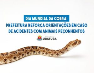 ubatuba-alerta-para-cuidados-com-animais-peconhentos-e-reforca-atendimento-na-santa-casa
