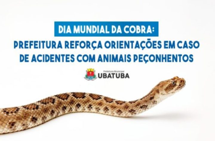 ubatuba-alerta-para-cuidados-com-animais-peconhentos-e-reforca-atendimento-na-santa-casa
