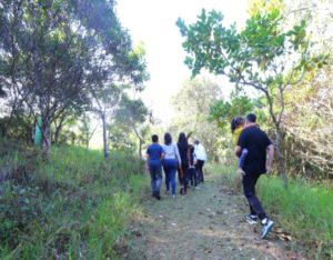 viver-o-viveiro-tem-yoga-trilhas-e-oficinas-gratuitas-neste-domingo-27-em-jacarei