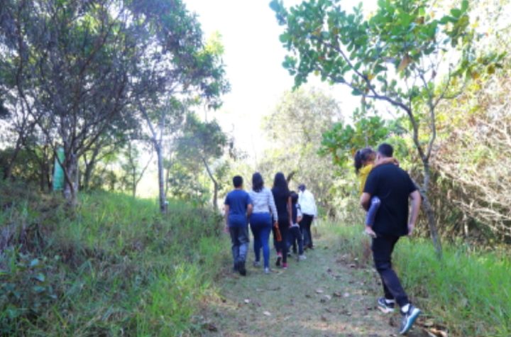 viver-o-viveiro-tem-yoga-trilhas-e-oficinas-gratuitas-neste-domingo-27-em-jacarei