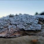 campos-do-jordao-registra-09c-e-frio-deve-seguir-na-regiao-com-gradual-elevacao-das-temperaturas