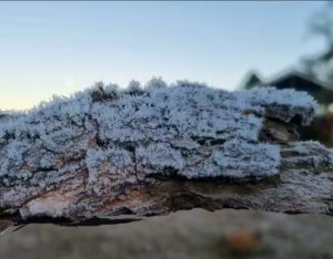 campos-do-jordao-registra-09c-e-frio-deve-seguir-na-regiao-com-gradual-elevacao-das-temperaturas