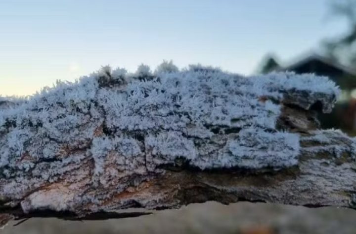 campos-do-jordao-registra-09c-e-frio-deve-seguir-na-regiao-com-gradual-elevacao-das-temperaturas