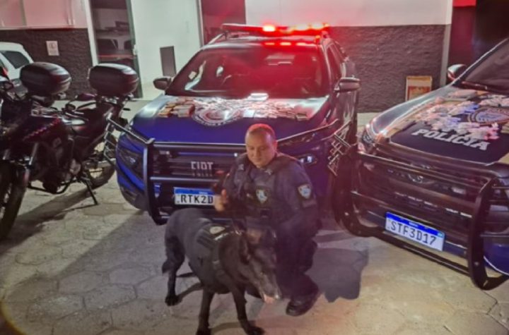 canil-da-policia-municipal-de-sao-sebastiao-auxilia-na-apreensao-de-drogas-em-caraguatatuba