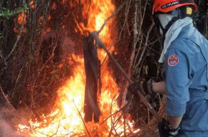 corpo-de-bombeiros-combate-incendio-em-mata-no-bairro-da-ressaca-em-ubatuba