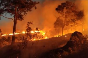 incendio-atinge-area-de-80-mil-m²-no-parque-itaim-em-taubate