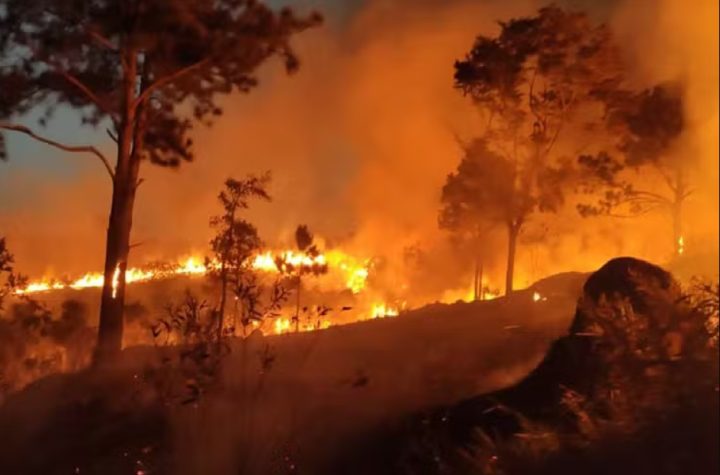 incendio-atinge-area-de-80-mil-m²-no-parque-itaim-em-taubate