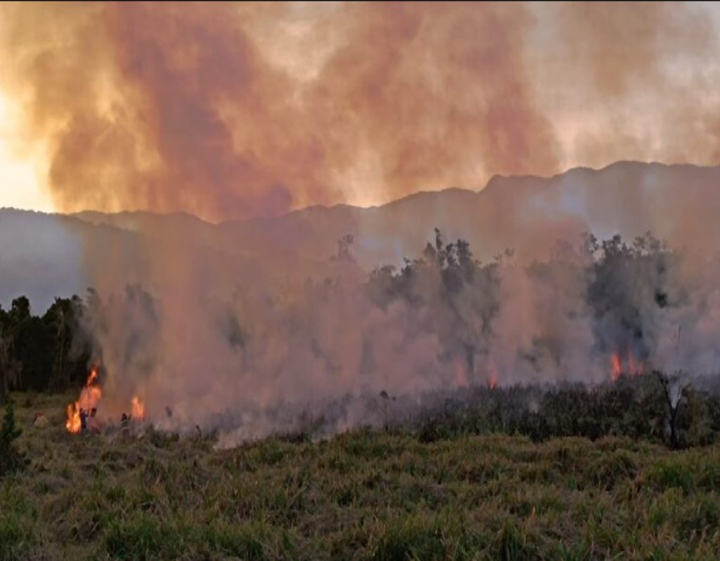 incendio-atinge-area-de-preservacao-em-caraguatatuba-e-mobiliza-corpo-de-bombeiros