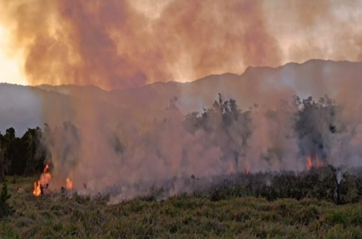 incendio-atinge-area-de-preservacao-em-caraguatatuba-e-mobiliza-corpo-de-bombeiros