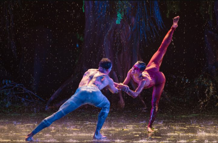 magia-da-danca-ganha-os-palcos-de-sao-jose-com-o-35o-festidanca