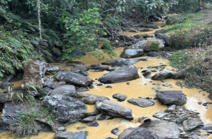 pindamonhangaba-investiga-possivel-dano-ambiental-na-regiao-da-usina-izabel
