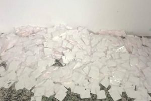 policia-militar-apreende-grande-quantidade-de-drogas-em-caraguatatuba