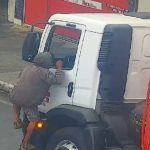 policia-municipal-de-sao-sebastiao-detem-homem-flagrado-furtando-caminhao