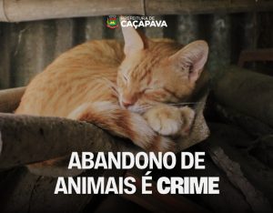 prefeitura-de-cacapava-alerta-abandono-de-animais-e-crime-e-pode-gerar-multa-e-prisao