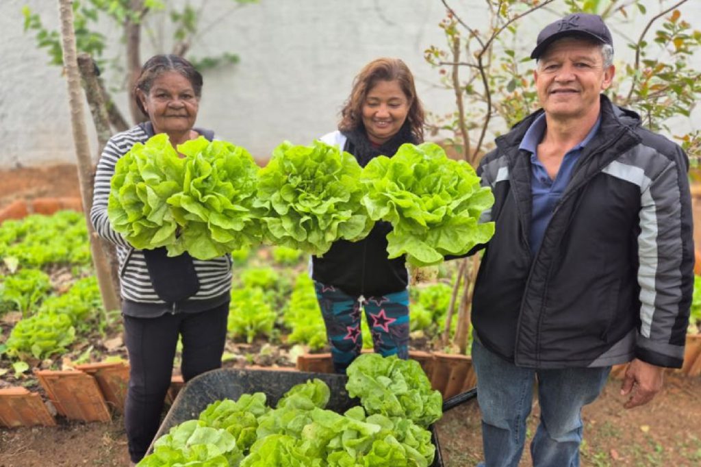 sao-jose-dos-campos-distribui-hortalicas-de-horta-comunitaria-e-reforca-saude-e-sustentabilidade
