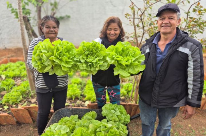 sao-jose-dos-campos-distribui-hortalicas-de-horta-comunitaria-e-reforca-saude-e-sustentabilidade