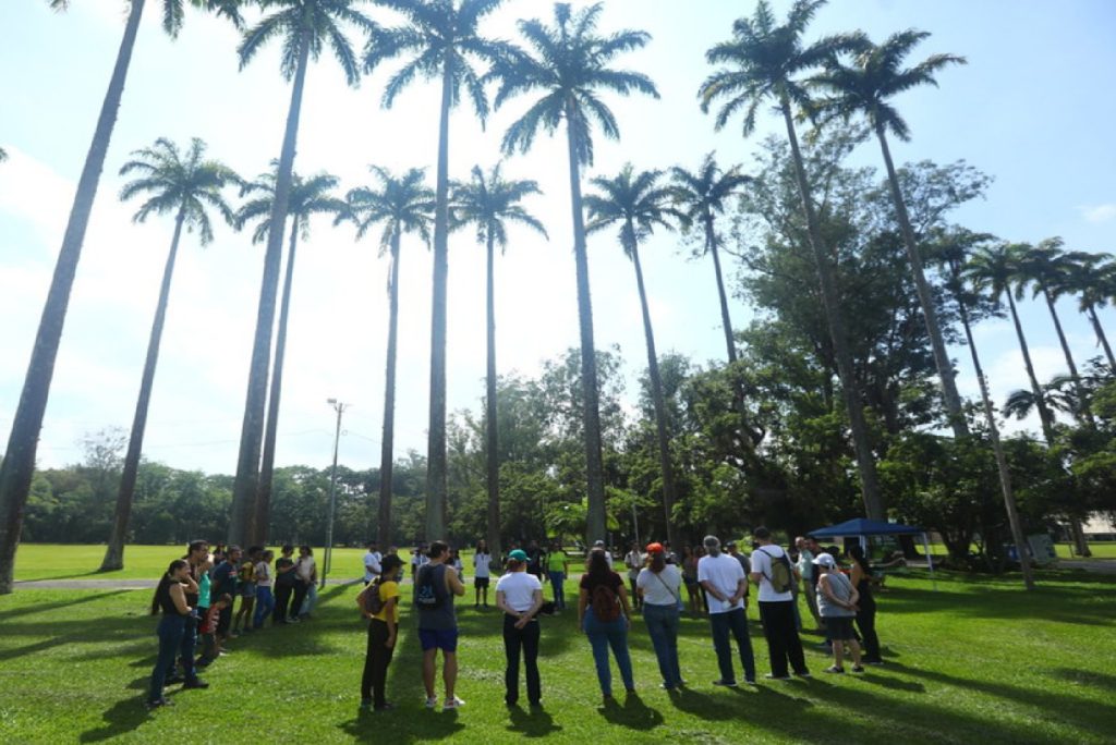sao-jose-dos-campos-lidera-ranking-de-ods-entre-grandes-cidades-brasileiras