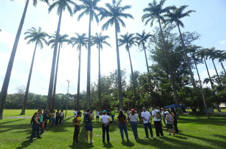 sao-jose-dos-campos-lidera-ranking-de-ods-entre-grandes-cidades-brasileiras