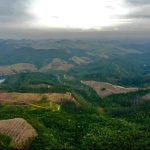 sao-jose-impede-loteamento-irregular-em-sao-francisco-xavier