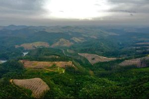 sao-jose-impede-loteamento-irregular-em-sao-francisco-xavier