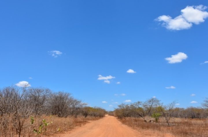 veranico-deve-elevar-temperaturas-em-sao-paulo-com-calor-acima-da-media-e-baixa-umidade