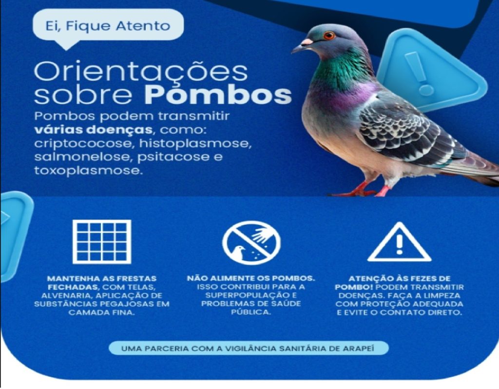 vigilancia-sanitaria-de-arapei-alerta-para-os-riscos-a-saude-causados-por-pombos