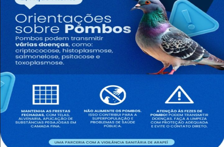 vigilancia-sanitaria-de-arapei-alerta-para-os-riscos-a-saude-causados-por-pombos