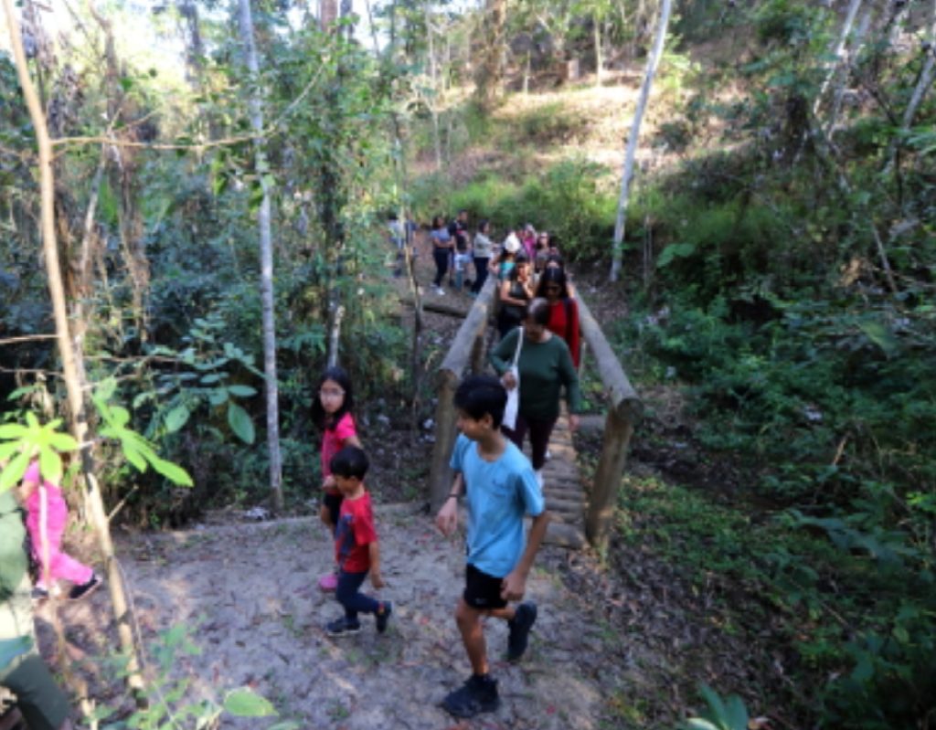 viver-o-viveiro-em-jacarei-convida-criancas-e-familias-para-oficinas-e-trilhas-neste-domingo-3