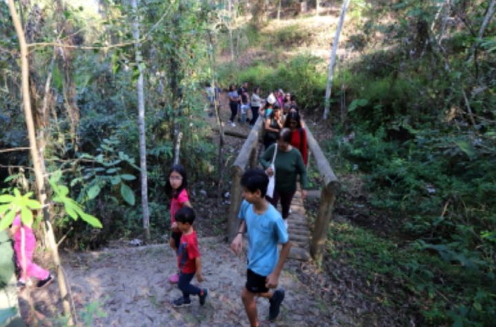 viver-o-viveiro-em-jacarei-convida-criancas-e-familias-para-oficinas-e-trilhas-neste-domingo-3