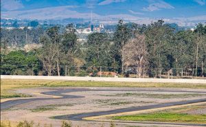 autodromo-de-tremembe-recebe-evento-de-pintura-de-mural-com-dez-artistas-renomados
