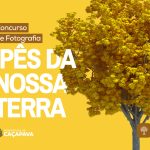 concurso-de-fotografia-ipes-da-nossa-terra-recebe-inscricoes-em-cacapava