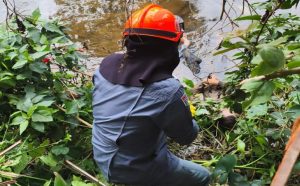 corpo-de-homem-e-encontrado-no-rio-tavares-em-ubatuba