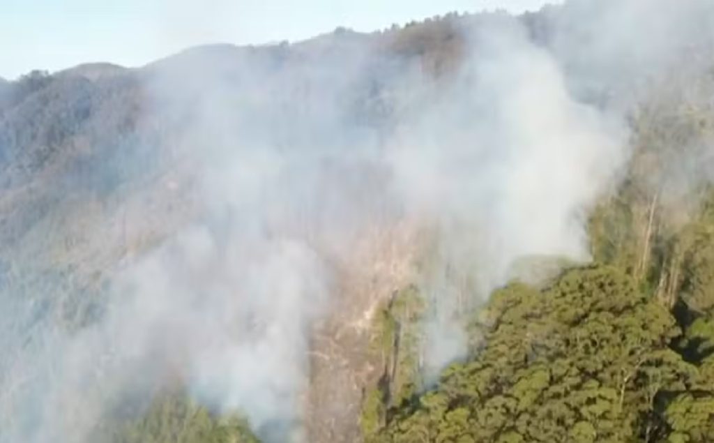 As equipes do Corpo de Bombeiros e de outros órgãos retomaram na manhã deste sábado (13) o combate ao incêndio que atinge uma área de preservação ambiental em Cruzeiro, no interior de São Paulo. Este é o 5º dia de combate às chamas na região.