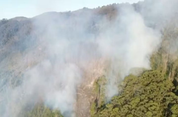As equipes do Corpo de Bombeiros e de outros órgãos retomaram na manhã deste sábado (13) o combate ao incêndio que atinge uma área de preservação ambiental em Cruzeiro, no interior de São Paulo. Este é o 5º dia de combate às chamas na região.