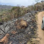 defesa-civil-atua-em-incendio-na-regiao-da-quinta-dos-passaros-em-cacapava