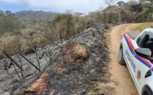 defesa-civil-atua-em-incendio-na-regiao-da-quinta-dos-passaros-em-cacapava