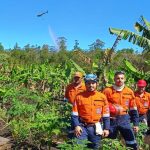 defesa-civil-e-corpo-de-bombeiros-combatem-incendio-em-area-central-de-sao-jose-dos-campos