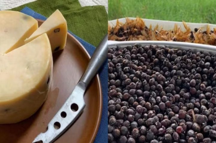 estancia-silvania-em-cacapava-recebe-selo-sisp-artesanal-e-amplia-mercado