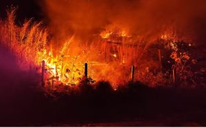 incendio-atinge-30-mil-m²-de-mata-em-santo-antonio-do-pinhal