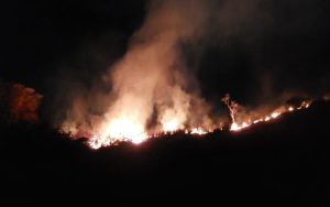 incendio-em-area-de-100-mil-m²-e-controlado-por-defesa-civil-e-bombeiros-em-taubate